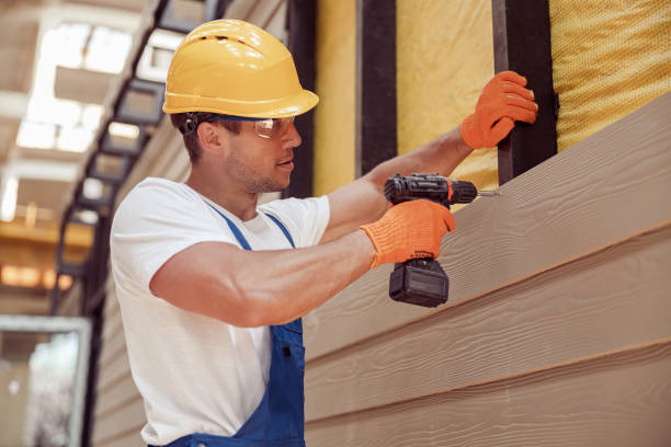 Best Custom Trim and Detailing for Siding  in Long Grove, IA